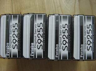 Resize of 9255.jpg