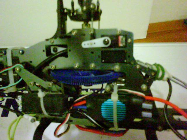 DSC00103.JPG