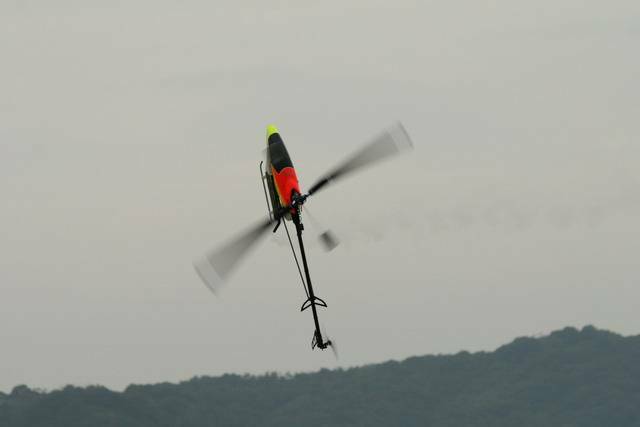 IMG_3181.jpg