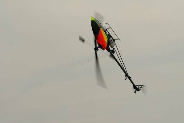 IMG_3200.jpg