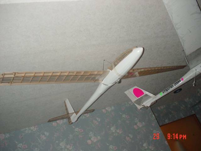 DSC01181.JPG