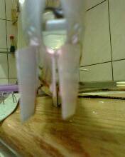 IMG0313A.jpg