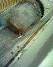 IMG0320A.jpg