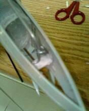 IMG0310A.jpg