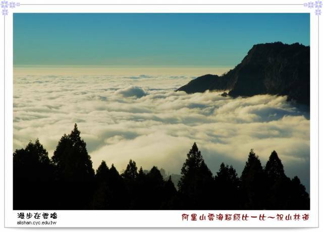 祝山林道平交道附近的觀景點.jpg