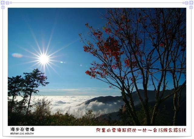 阿里山.jpg