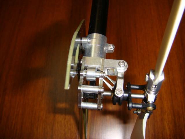DSC00510.JPG