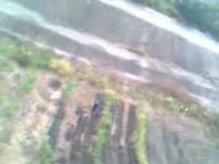 MOV0018A[(007694)20-24-02]_調整大小.JPG