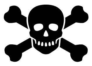 skull.jpg