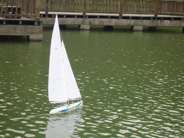 DSC02550.jpg