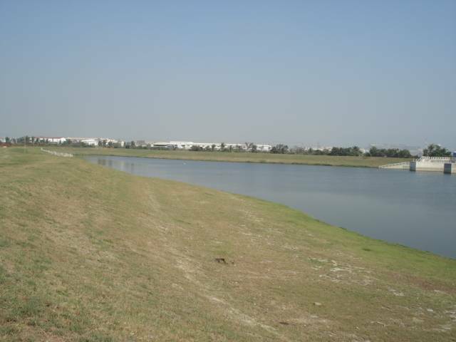 DSC01668.JPG