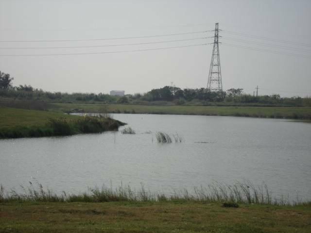 DSC01665.JPG
