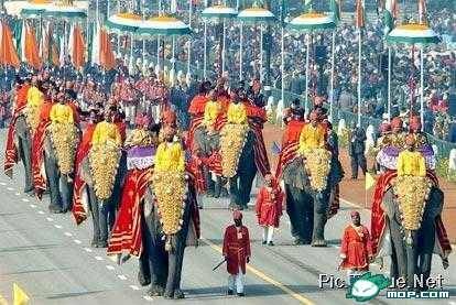 India-7.jpg