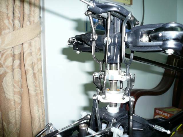 P1010563.JPG
