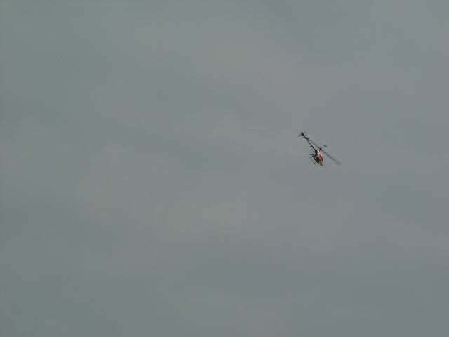 2008.1.6竹東河濱公園 013.jpg