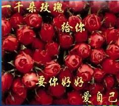 80DFCC1C96B60A8C9E77E5C5016680A6.JPG