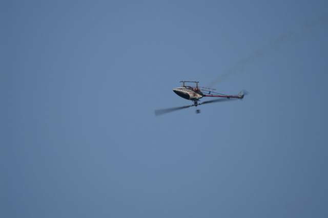 PICT0548_調整大小.JPG