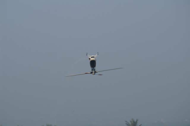 PICT0576_調整大小.JPG