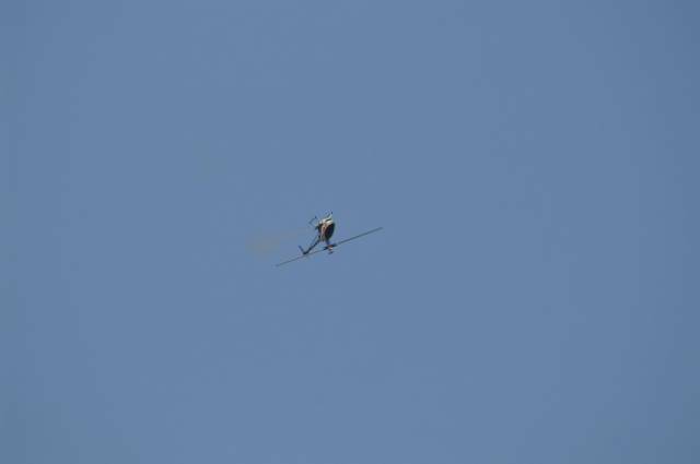 PICT0585_調整大小.JPG