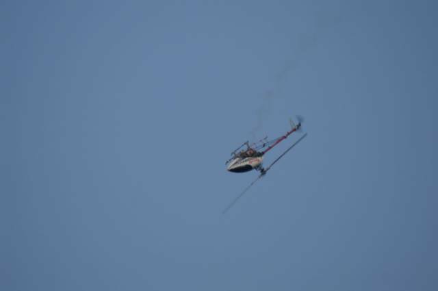 PICT0549_調整大小.JPG