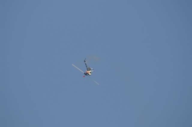 PICT0591_調整大小.JPG