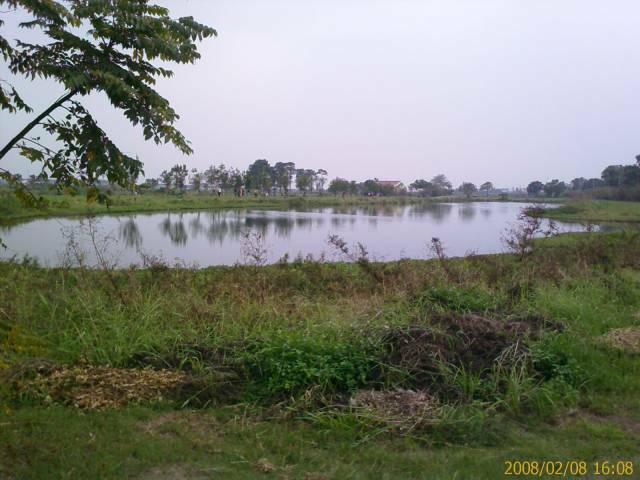 IMAGE_00131.jpg