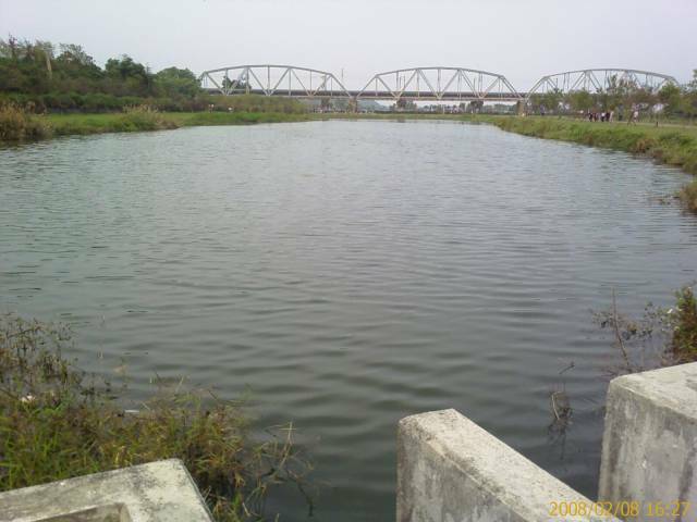 IMAGE_00133.jpg