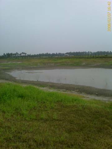 IMAGE_00123.jpg