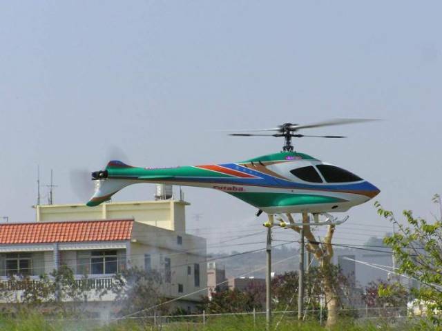 P2160132-1.JPG