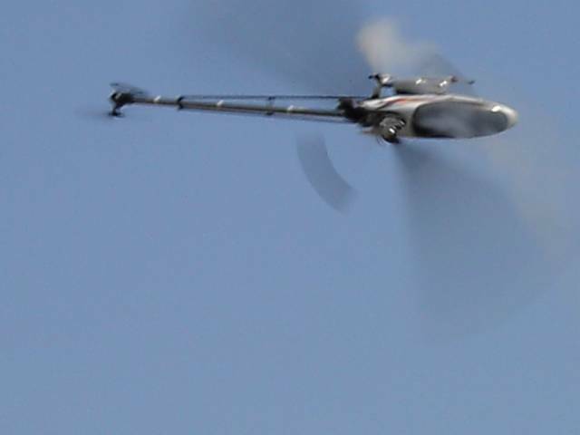 PICT3490.JPG
