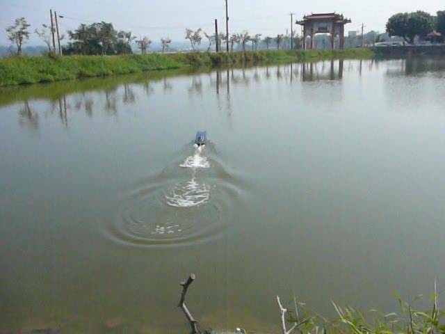 P1040003.JPG