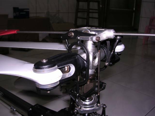 DSCN1173.JPG