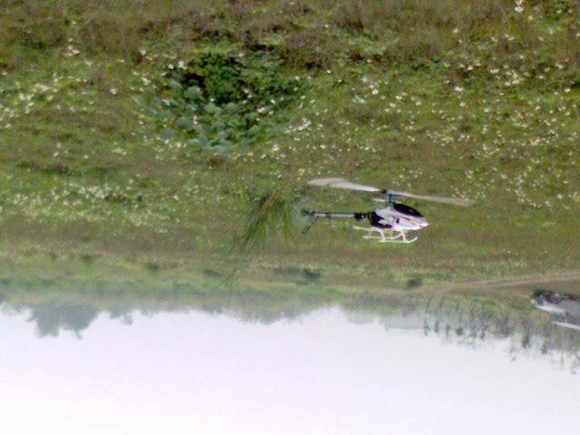 DSC00348.JPG