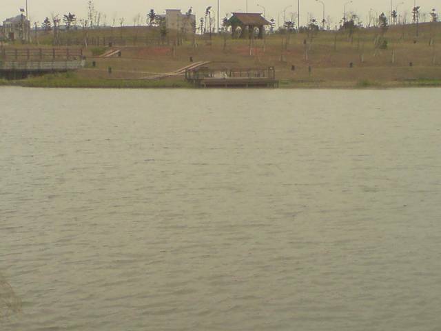 DSC00303.JPG