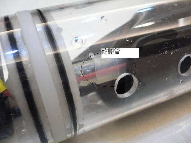 P1040437_resize.JPG