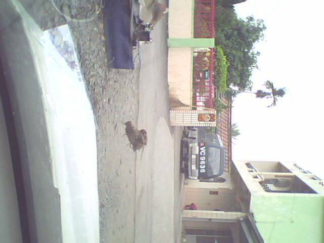 IMG0022A.jpg