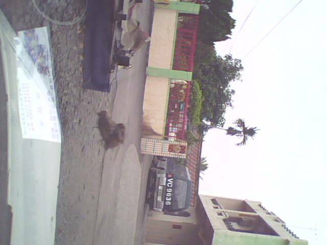 IMG0023A.jpg