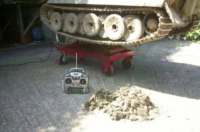 1-4 Tiger 1-04.jpg
