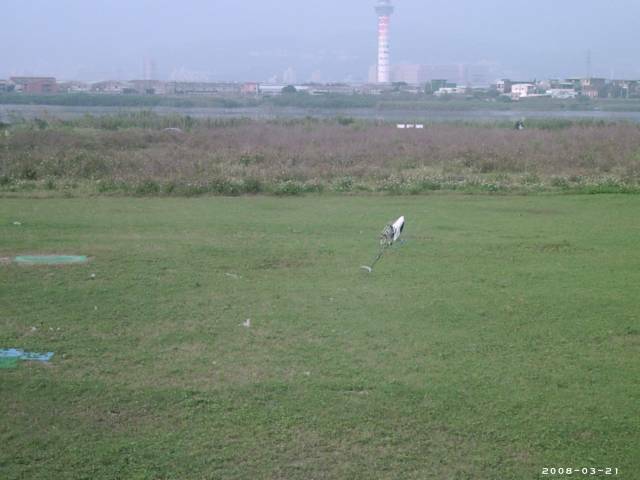 尾旋翼割草