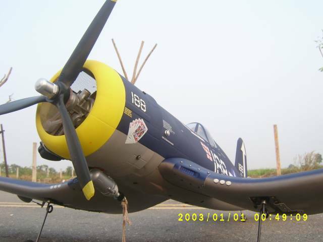 S4200678.JPG