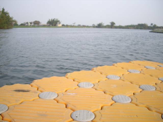 IMGP0627.JPG