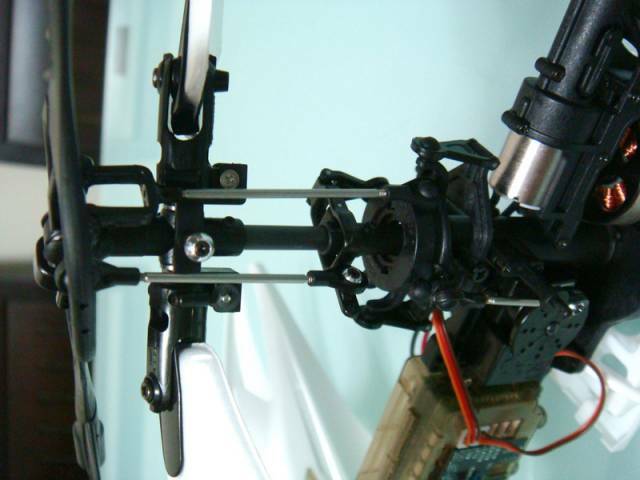 D017.jpg