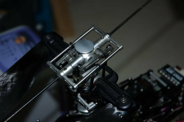 DSC_8254.jpg