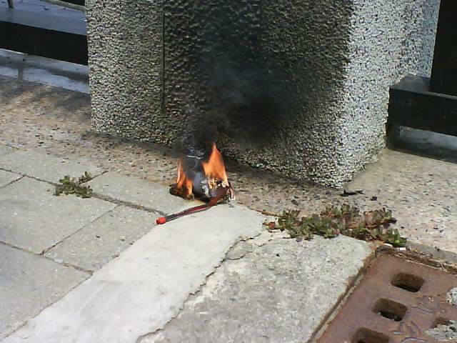 DSC00695.JPG
