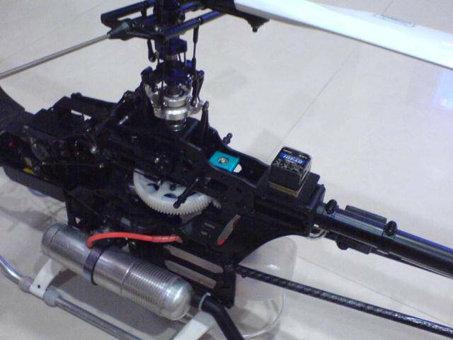 DSC07728.JPG