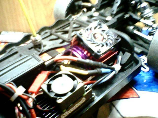 IMG1043A.jpg