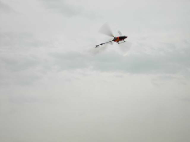 PICT4770.JPG