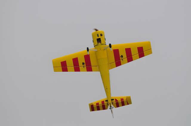 DSC_0032.jpg