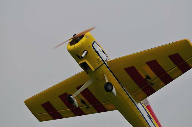 DSC_0043.jpg