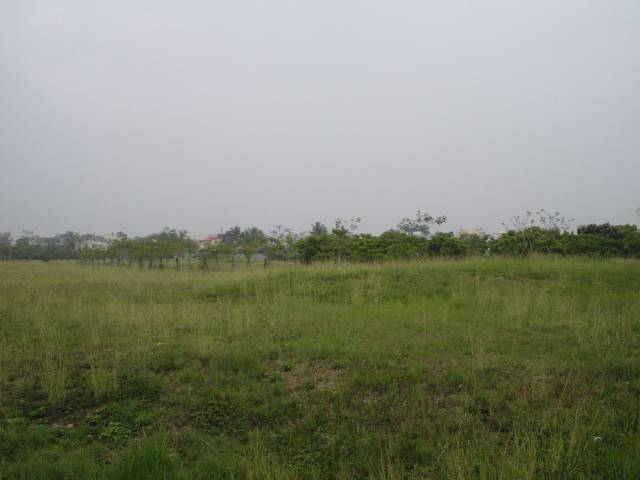 DSCI0031.JPG